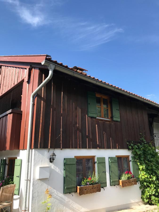 Chalet Alpenrose Schwangau Eksteriør bilde